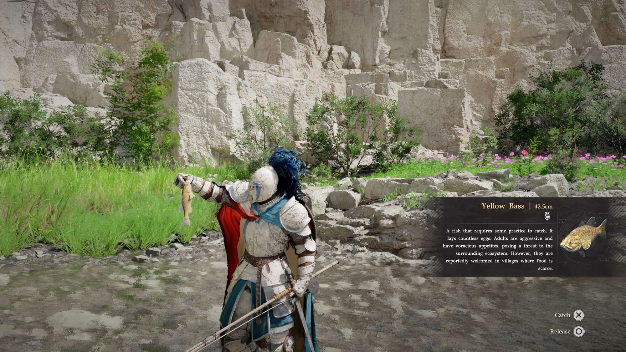 How to Fish in Crimson Desert (Quick & Easy Guide)